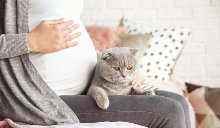 Pregnant Woman Sitting with a Kitten